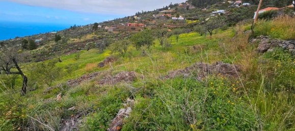 Grundstück in Kiel, Germany, Nr. 219191 3