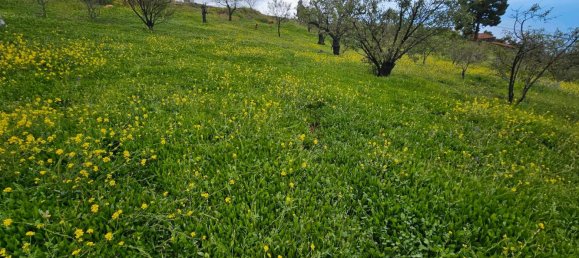 Grundstück in Kiel, Germany, Nr. 219191 8