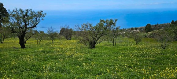 Grundstück in Kiel, Germany, Nr. 219191 6