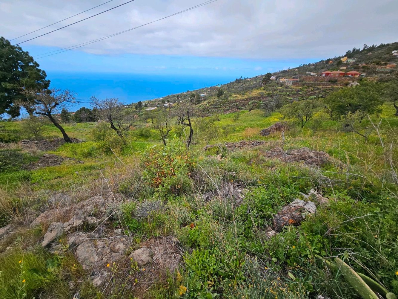 Grundstück in Kiel, Germany, Nr. 219191