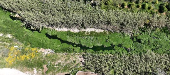 19857m² Land in Noto, Italy No. 229356 7