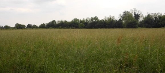 Terrain à Santorso, Italy 10418m² No. 303569 9