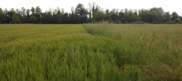 Terrain à Santorso, Italy 10418m² No. 303569 11