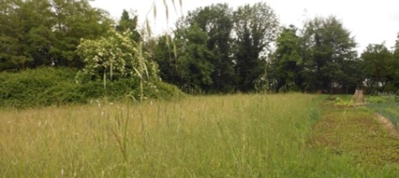 Terrain à Santorso, Italy 10418m² No. 303569 7