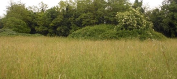 Terrain à Santorso, Italy 10418m² No. 303569 6