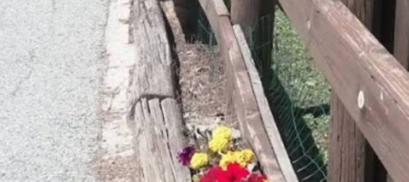 1 bedroom Apartment in Pragelato, Italy No. 331931 6