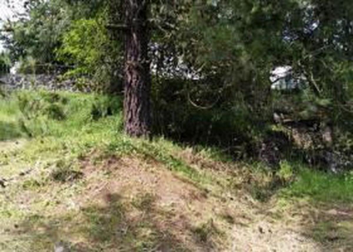 Terrain à Lerma, Mexico No. 203379