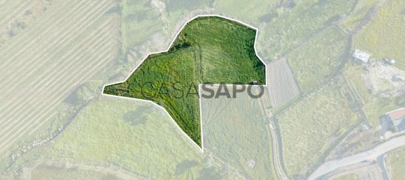 2000m² Land in Braga, Portugal No. 204716 3