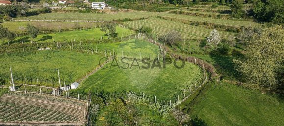2000m² Land in Braga, Portugal No. 204716 8