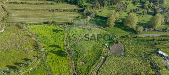 2000m² Land in Braga, Portugal No. 204716 13