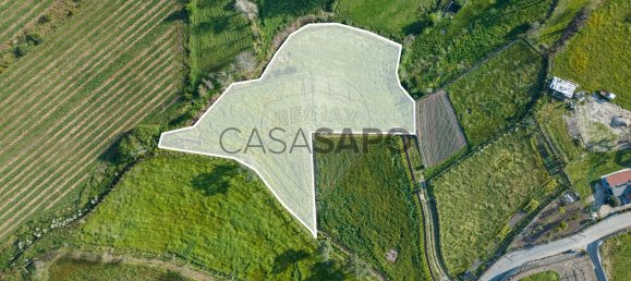 2000m² Land in Braga, Portugal No. 204716 4