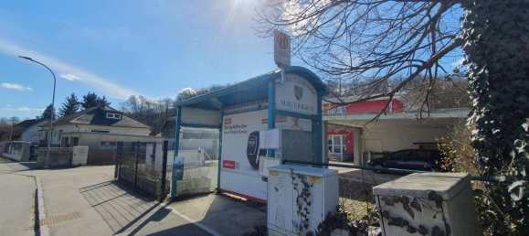 4 bedrooms Townhouse in Mauerbach, Austria No. 189082 29