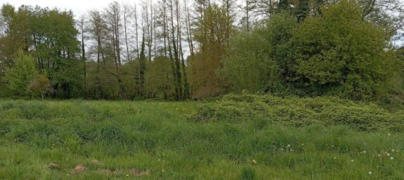 4 chambres Maison à Mayenne, France No. 357796 10