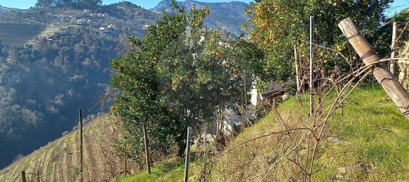 2 bedrooms Castles in Santa Marta de Penaguiao, Portugal No. 171573 5