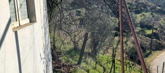 2 bedrooms Castles in Santa Marta de Penaguiao, Portugal No. 171573 3