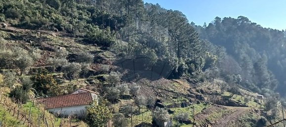 2 bedrooms Castles in Santa Marta de Penaguiao, Portugal No. 171573 8