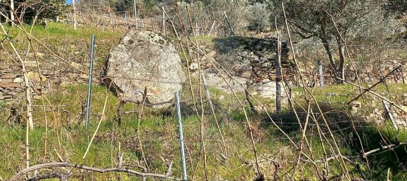 2 bedrooms Castles in Santa Marta de Penaguiao, Portugal No. 171573 4