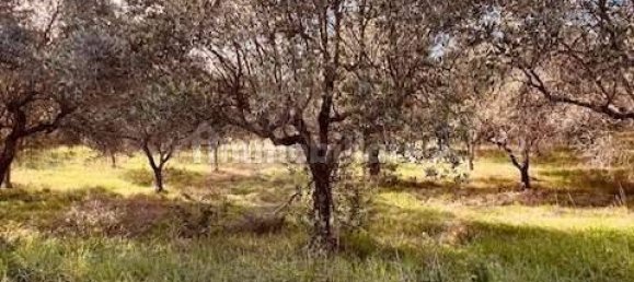 4 Schlafzimmer Haus in Torino di Sangro, Italy, Nr. 330439 16