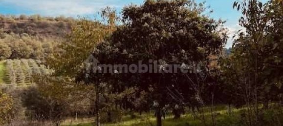 4 Schlafzimmer Haus in Torino di Sangro, Italy, Nr. 330439 8