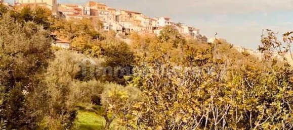 4 Schlafzimmer Haus in Torino di Sangro, Italy, Nr. 330439 15