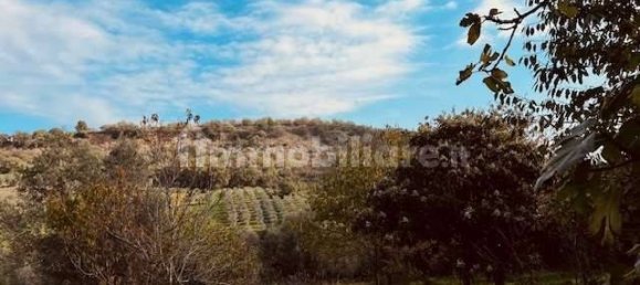 4 Schlafzimmer Haus in Torino di Sangro, Italy, Nr. 330439 6