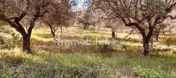 4 Schlafzimmer Haus in Torino di Sangro, Italy, Nr. 330439 19