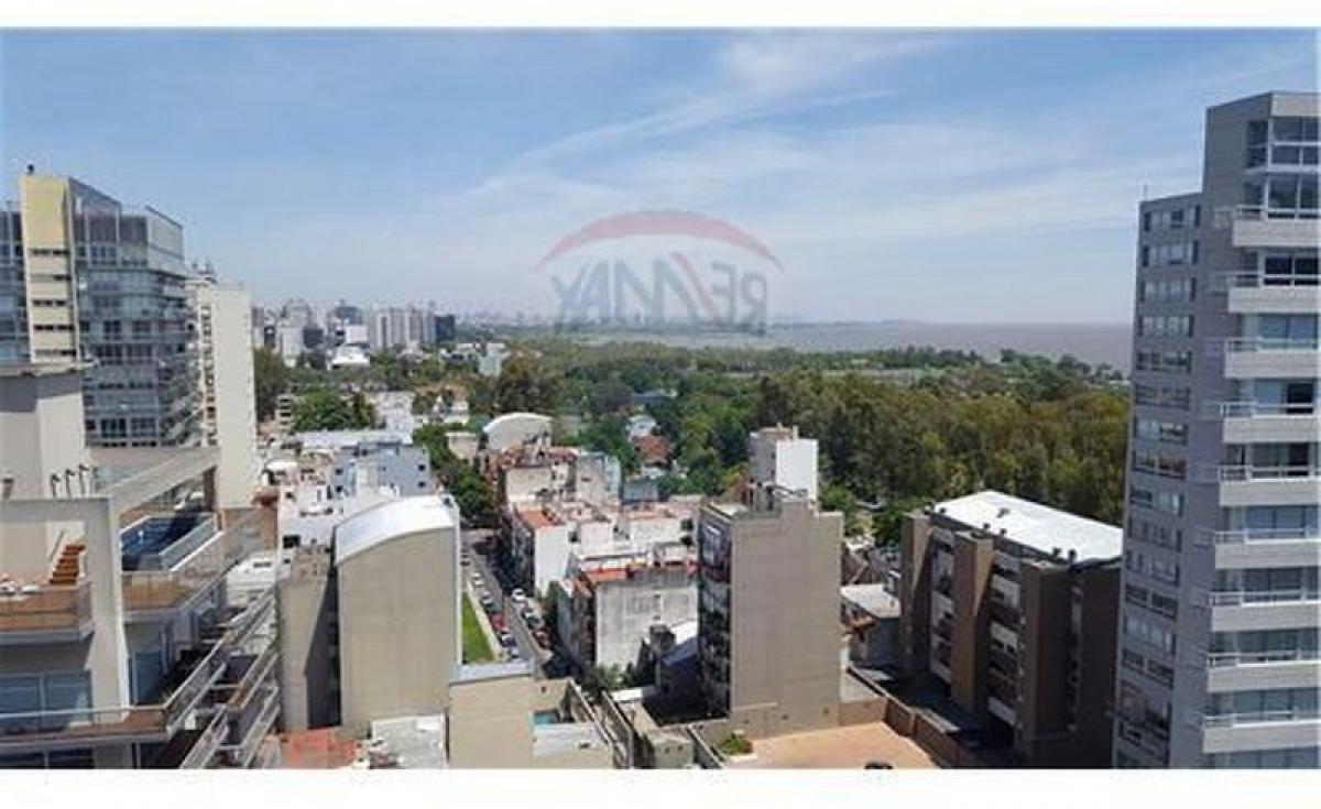 Estudio en Vicente López, Argentina No. 8669