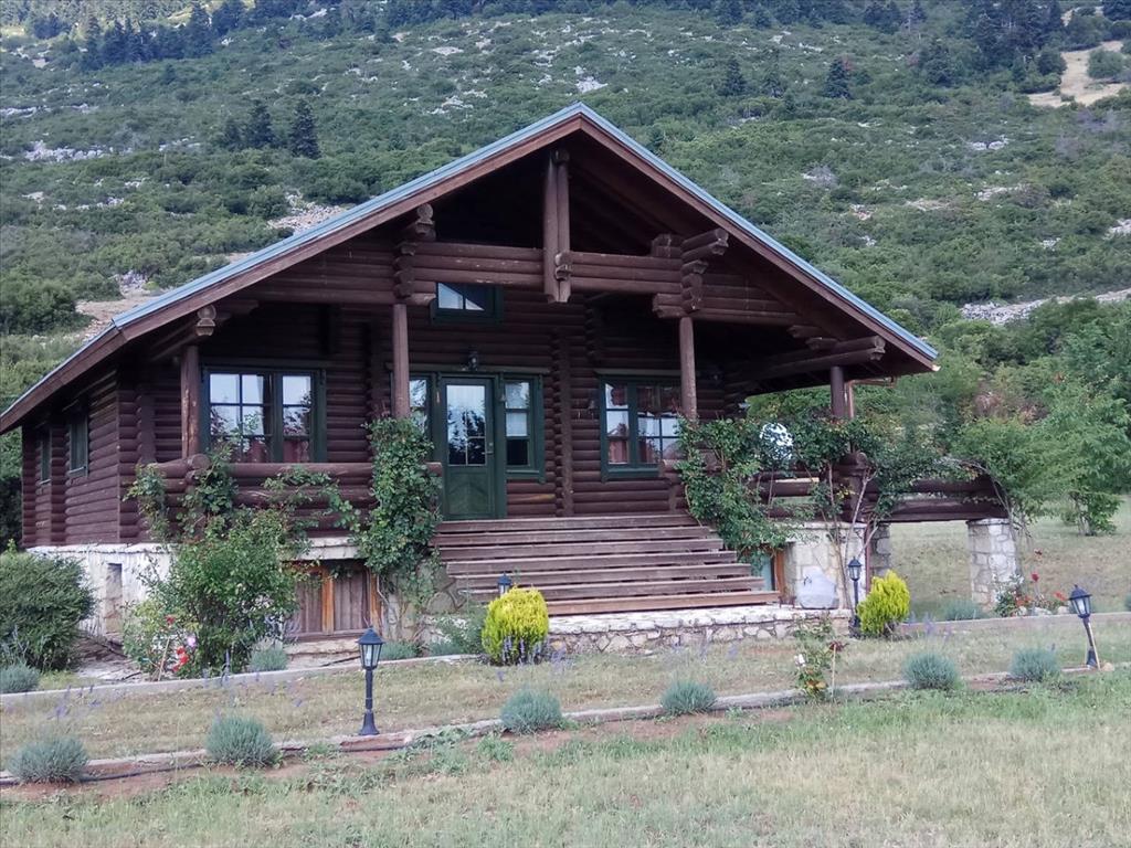 5 Schlafzimmer Gewerbliche Immobilien in Boeotia, Greece, Nr. 5831