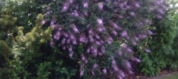 Casa de 2 dormitorios en Ludwigslust-Parchim, Germany No. 131483 21