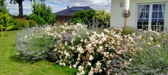 Casa de 2 dormitorios en Ludwigslust-Parchim, Germany No. 131483 8