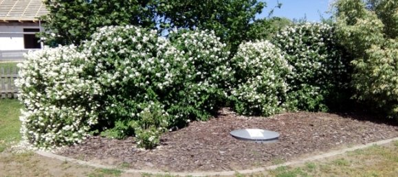 Casa de 2 dormitorios en Ludwigslust-Parchim, Germany No. 131483 5