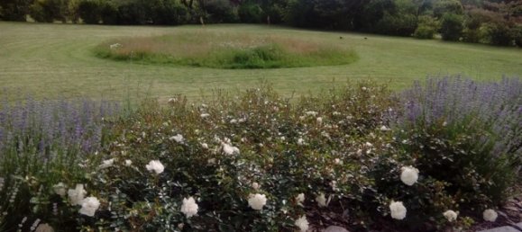 Casa de 2 dormitorios en Ludwigslust-Parchim, Germany No. 131483 22