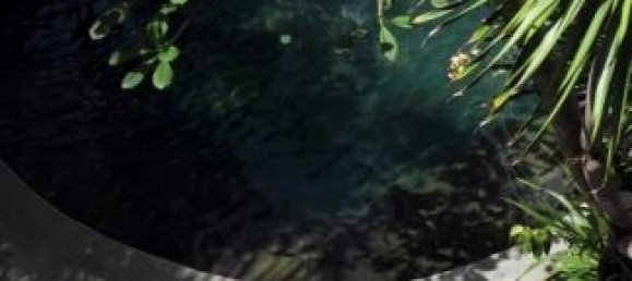 4 bedrooms Villa in Seminyak, Indonesia No. 2998 23