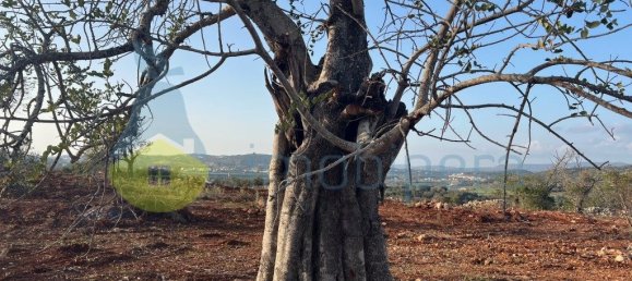 4 Schlafzimmer Haus in Paderne, Portugal, Nr. 261007 3