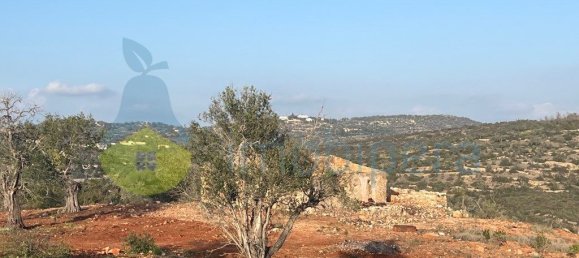 4 Schlafzimmer Haus in Paderne, Portugal, Nr. 261007 12