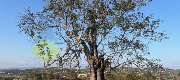 4 Schlafzimmer Haus in Paderne, Portugal, Nr. 261007 8