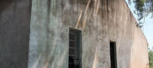 1 Schlafzimmer Haus in Riachos, Portugal, Nr. 71259 2