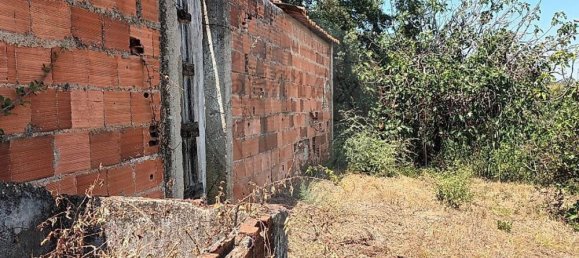 1 Schlafzimmer Haus in Riachos, Portugal, Nr. 71259 4