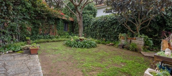 4 غرف نوم منزل في Cascais, Portugal رقم 123452 18