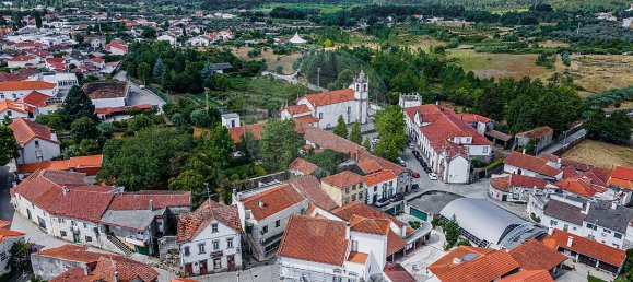 4 bedrooms House in Canas de Senhorim, Portugal No. 19109 5