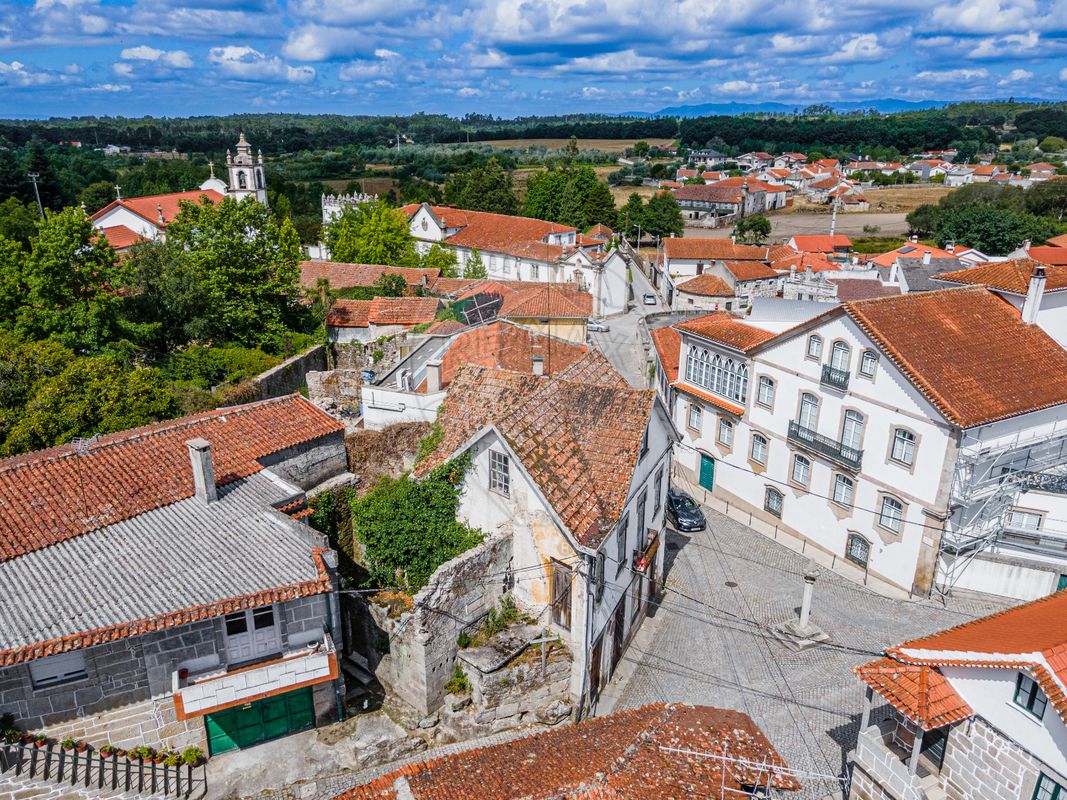 4 bedrooms House in Canas de Senhorim, Portugal No. 19109