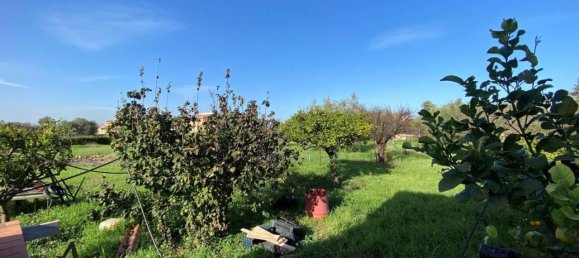 5 rooms House in Syracuse, Italy No. 247068 12