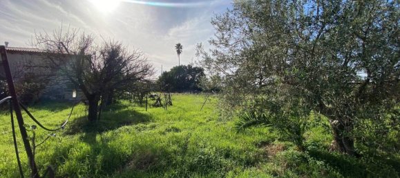 5 rooms House in Syracuse, Italy No. 247068 17