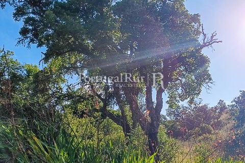  Land in Bordeira, Portugal No. 203640