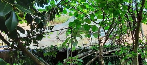 Casa de 3 dormitorios en Cabeceiras de Basto, Portugal No. 27330 39