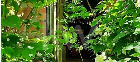 Casa de 3 dormitorios en Cabeceiras de Basto, Portugal No. 27330 42