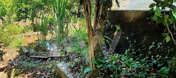 Casa de 3 dormitorios en Cabeceiras de Basto, Portugal No. 27330 38