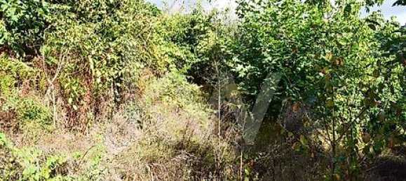 Casa de 3 dormitorios en Cabeceiras de Basto, Portugal No. 27330 21