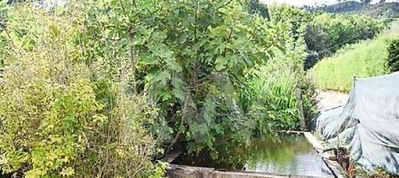 Casa de 3 dormitorios en Cabeceiras de Basto, Portugal No. 27330 5