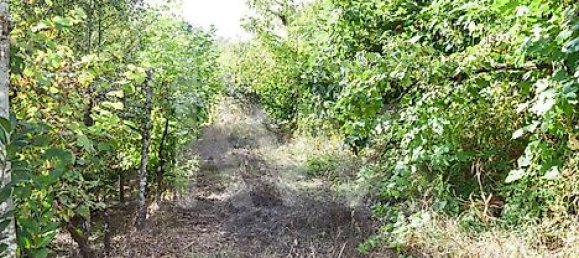 Casa de 3 dormitorios en Cabeceiras de Basto, Portugal No. 27330 20